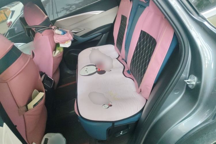 Used BYD Song Pro 2021 1.5T Automatic Xiaoyun Luxury Model Left Rear Seat