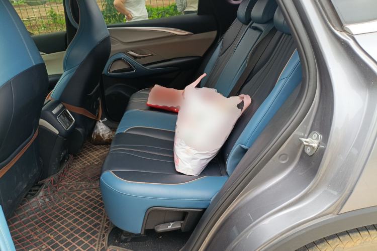 Used BYD Song Pro 2021 1.5T Automatic Xiaoyun Elite Edition Left Rear Seat