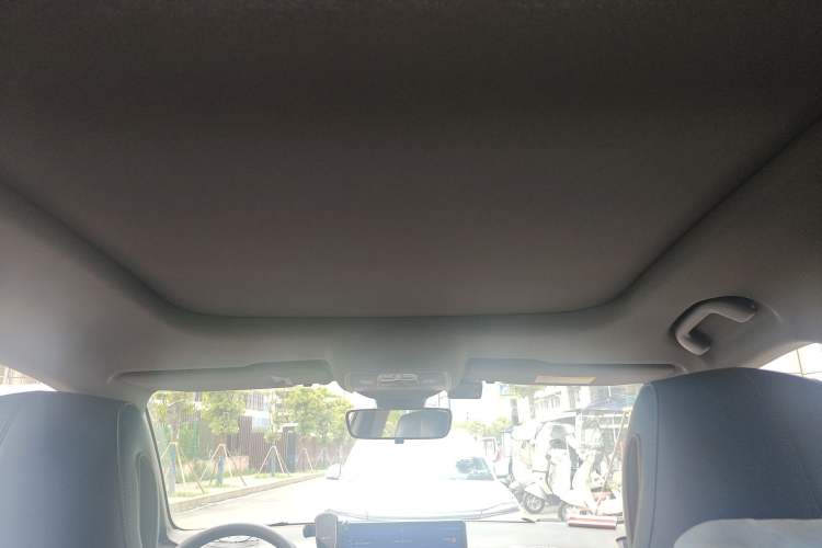 Used BYD Song Pro 2021 1.5T Automatic Xiaoyun Luxury Model Headliner