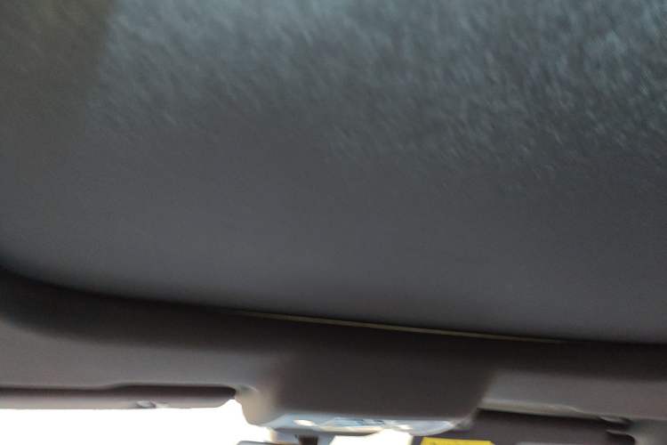 Used BYD Song Pro 2021 1.5T Automatic Xiaoyun Luxury Model Headliner