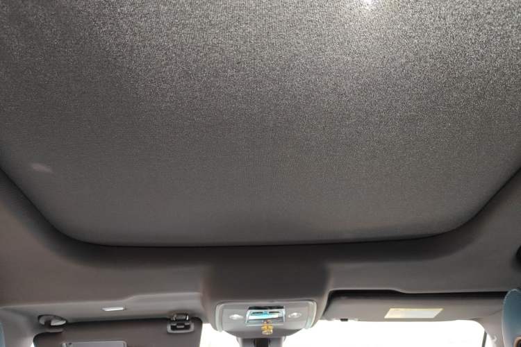 Used BYD Song Pro 2021 1.5T Automatic Xiaoyun Luxury Model Headliner
