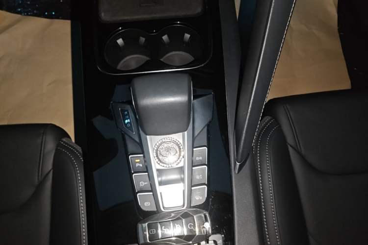 Used BYD Song Pro 2021 1.5T Automatic Luxury Model Gear Lever