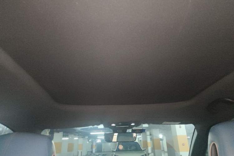 Used BYD Song Pro 2021 1.5T Automatic Xiaoyun Luxury Model Headliner