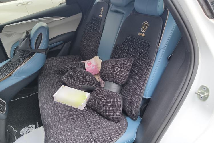 Used BYD Song Pro 2021 1.5T Automatic Xiaoyun Luxury Model Left Rear Seat