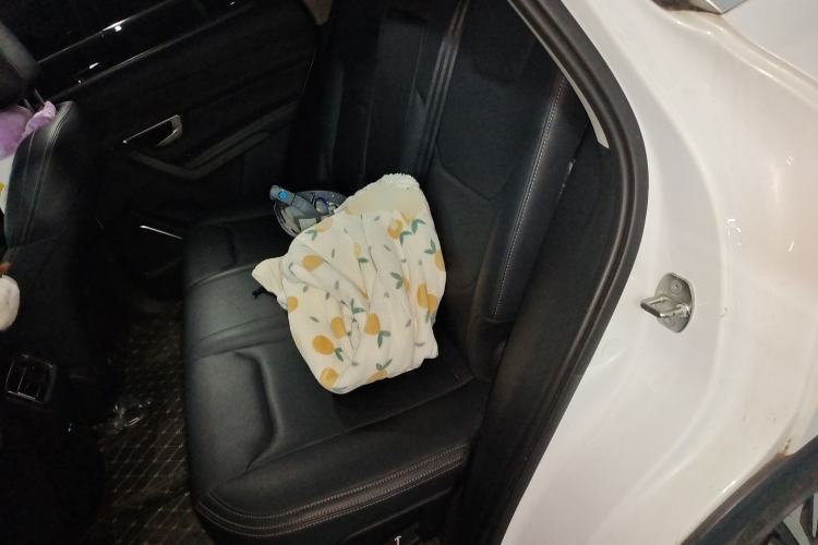 Used BYD Song Pro 2021 1.5T Automatic Luxury Model Left Rear Seat