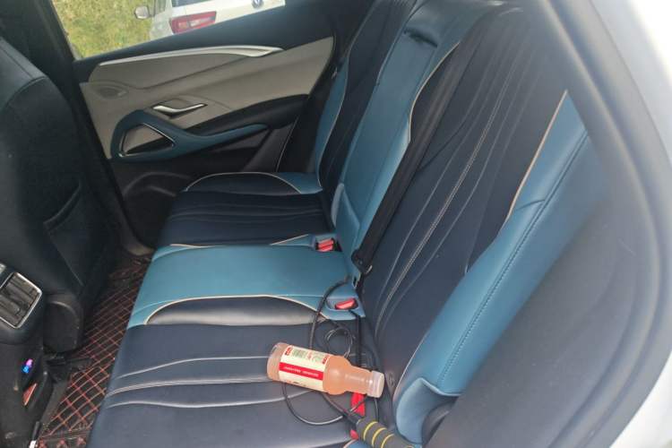 Used BYD Song Pro 2021 1.5T Automatic Xiaoyun Luxury Model Left Rear Seat