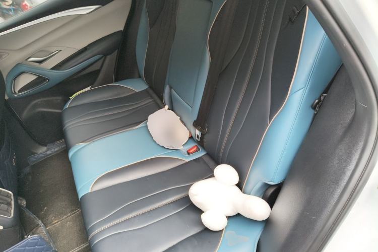 Used BYD Song Pro 2021 1.5T Automatic Xiaoyun Luxury Model Left Rear Seat