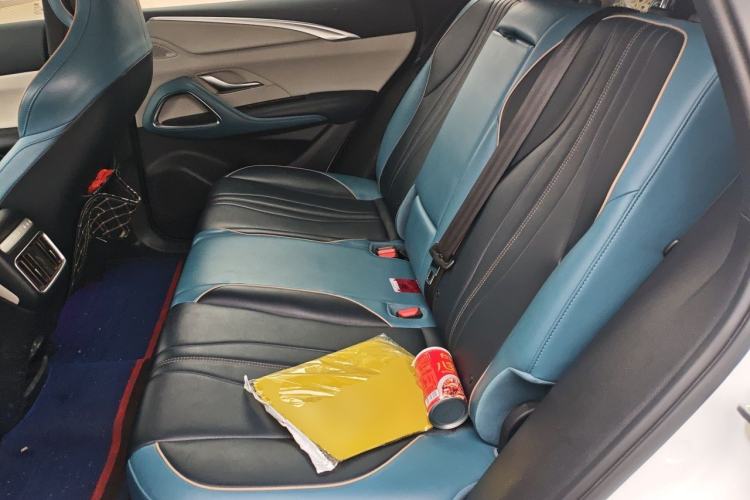 Used BYD Song Pro 2021 1.5T Automatic Xiaoyun Luxury Model Left Rear Seat