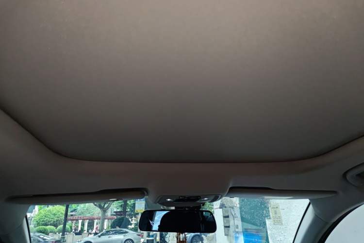 Used BYD Song Pro New Energy 2019 DM 1.5T Four-Wheel Drive Performance Edition Deluxe Model Headliner
