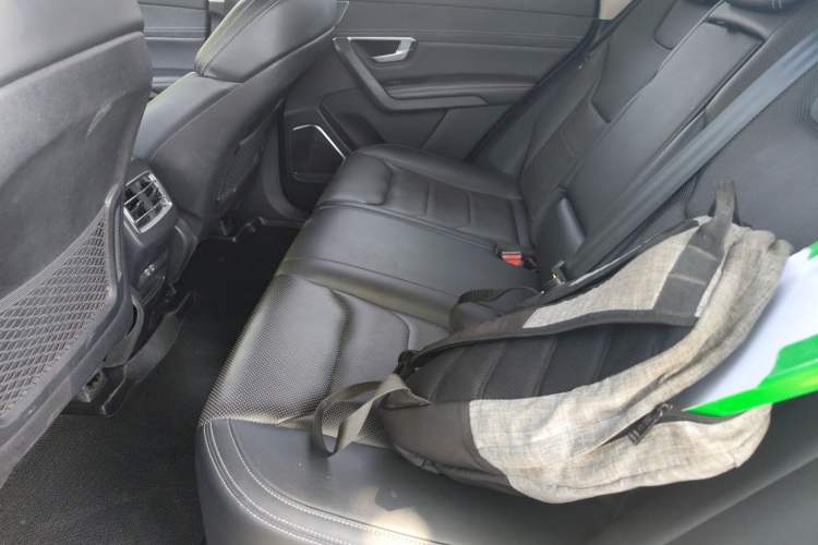 Used BYD Song Pro New Energy 2019 EV High-Power Long-Range Flagship Model Left Rear Seat