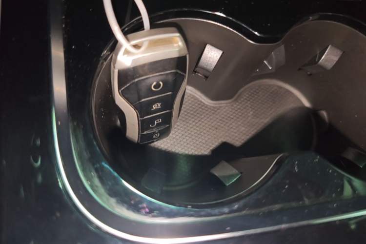 Used BYD Song Pro New Energy 2019 DM 1.5T Four-Wheel Drive Performance Edition Deluxe Model Vehicle Key