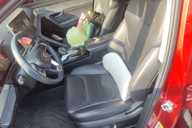 Used BYD Song Pro New Energy 2019 EV High-Power Long-Range Flagship Model Left Front Seat