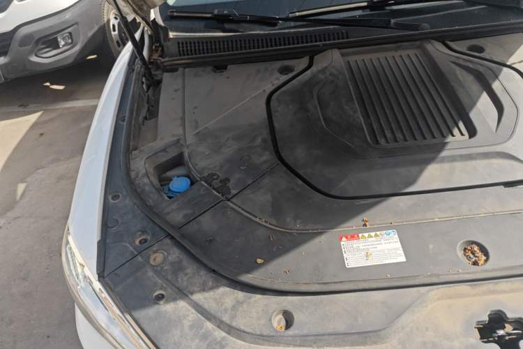 Used BYD Song Pro New Energy 2019 EV High-Power Long-Range Flagship Model Engine Bay Right