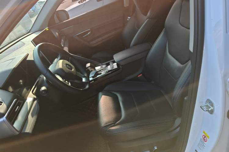 Used BYD Song Pro New Energy 2019 DM 1.5T Four-Wheel Drive Performance Edition Flagship Model Left Front Seat