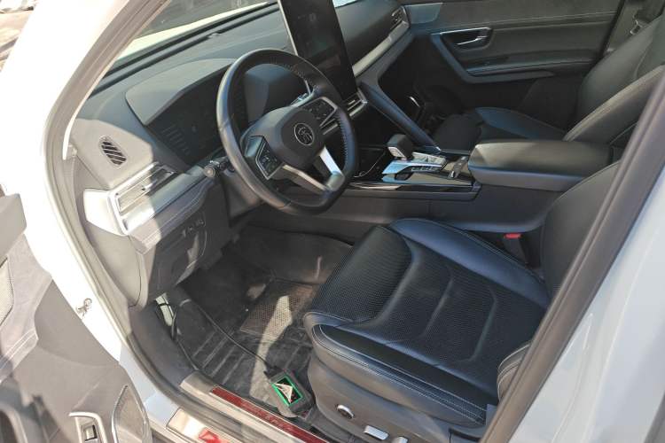 Used BYD Song Pro New Energy 2019 EV High-Power Long-Range Flagship Model Left Front Seat