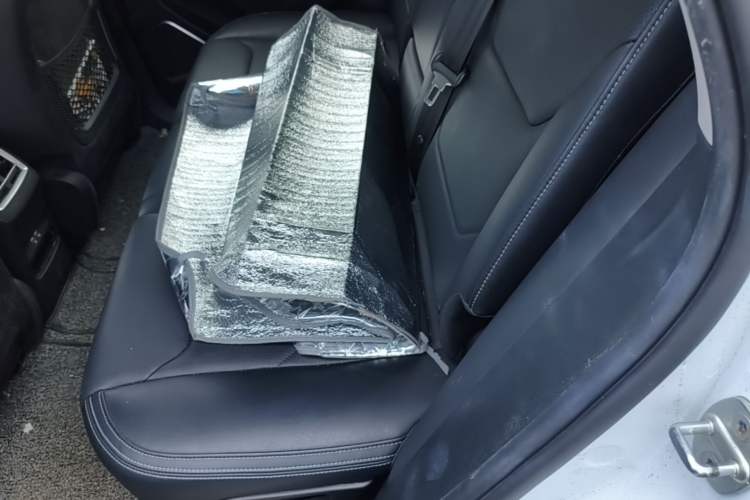 Used BYD Song Pro New Energy 2019 DM 1.5T Four-Wheel Drive Performance Edition Flagship Model Left Rear Seat