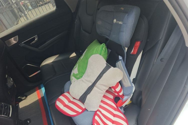 Used BYD Song Pro New Energy 2019 EV High-Power Long-Range Flagship Model Left Rear Seat