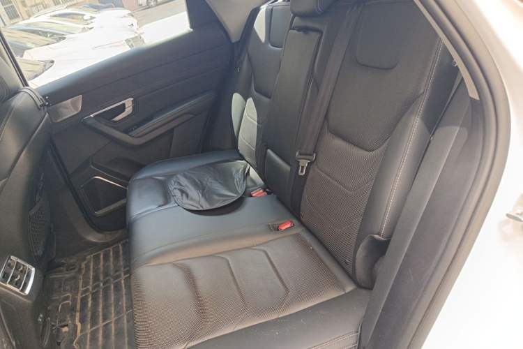 Used BYD Song Pro New Energy 2019 DM 1.5T Four-Wheel Drive High-Energy Version Left Rear Seat