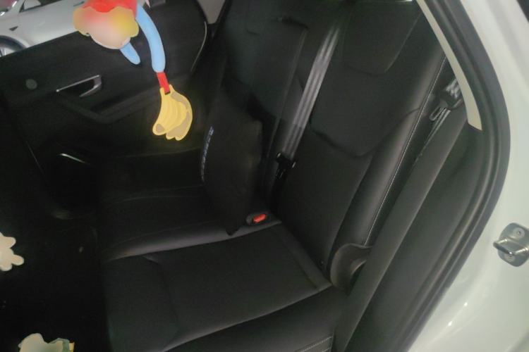 Used BYD Song Pro New Energy 2019 DM 1.5T Four-Wheel Drive Performance Edition Deluxe Model Left Rear Seat