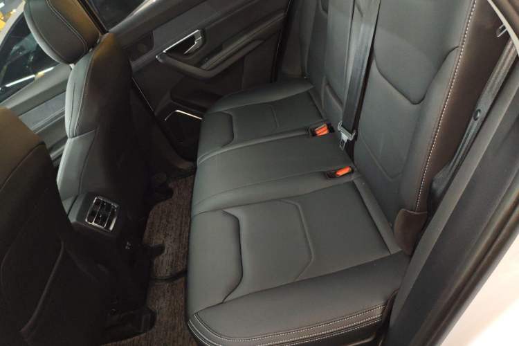 Used BYD Song Pro New Energy 2019 DM 1.5T Four-Wheel Drive Performance Edition Deluxe Model Left Rear Seat