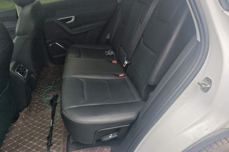Used BYD Song Pro New Energy 2019 DM 1.5T Four-Wheel Drive Performance Edition Deluxe Model Left Rear Seat