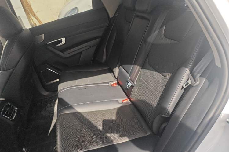 Used BYD Song Pro New Energy 2019 EV High-Power Long-Range Flagship Model Left Rear Seat