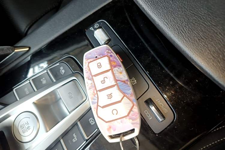 Used BYD Song Pro New Energy 2019 EV High-Power Long-Range Flagship Model Vehicle Key