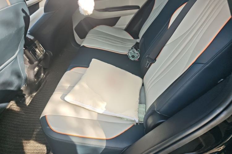 Used BYD Song Pro New Energy 2022 DM-i 110km Flagship Model Left Rear Seat