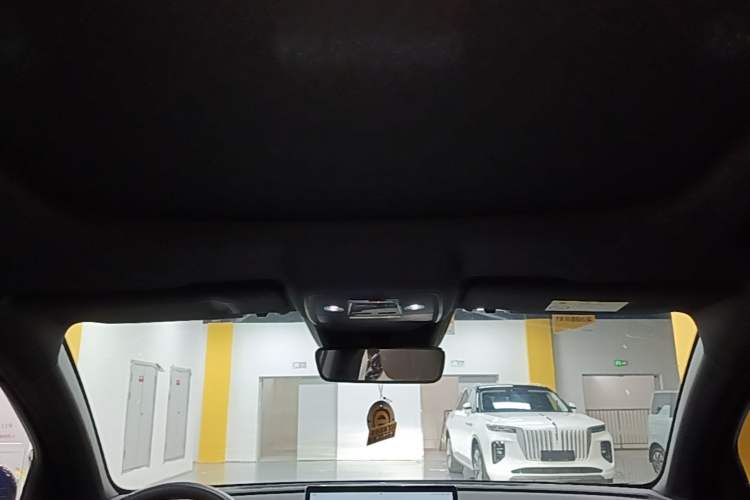 Used BYD Song Pro New Energy 2022 DM-i 51km Prestige Model Headliner