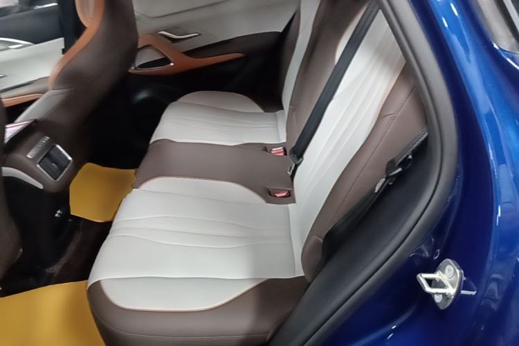 Used BYD Song Pro New Energy 2022 DM-i 51km Prestige Model Left Rear Seat