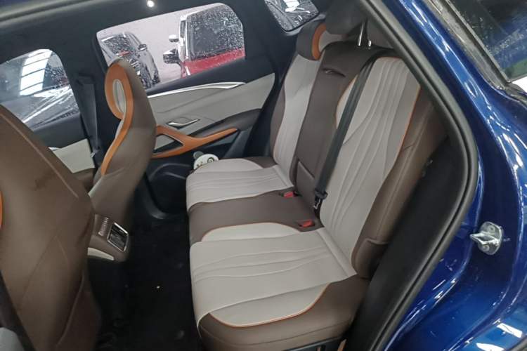 Used BYD Song Pro New Energy 2022 DM-i 51km Prestige Model Left Rear Seat