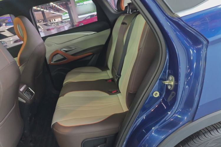 Used BYD Song Pro New Energy 2022 DM-i 51km Prestige Model Left Rear Seat