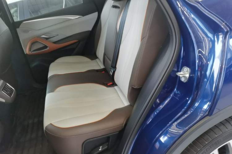 Used BYD Song Pro New Energy 2022 DM-i 110km Flagship Pro Model Left Rear Seat