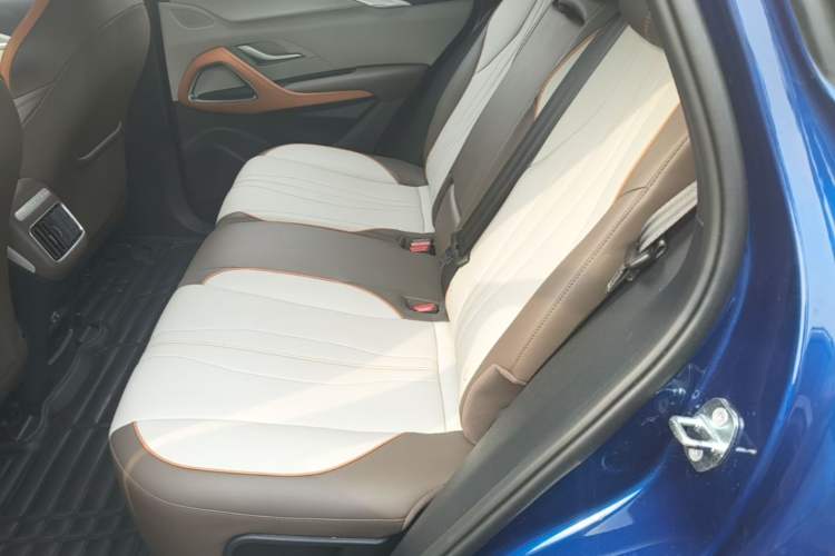 Used BYD Song Pro New Energy 2022 DM-i 51km Prestige Model Left Rear Seat