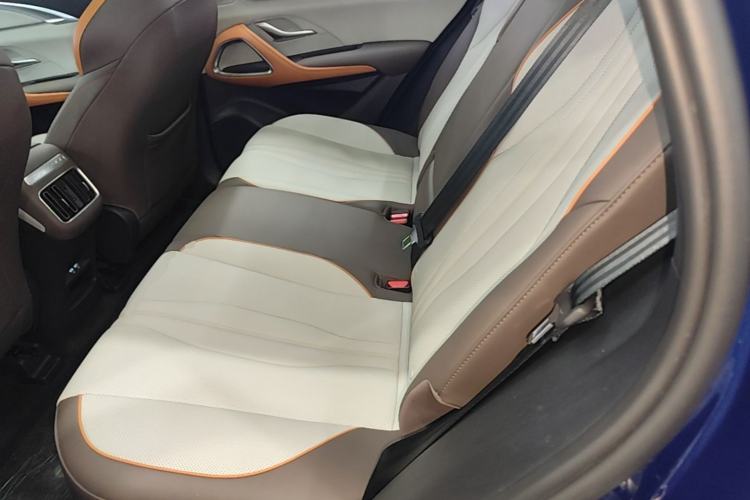 Used BYD Song Pro New Energy 2022 DM-i 110km Flagship Pro Model Left Rear Seat