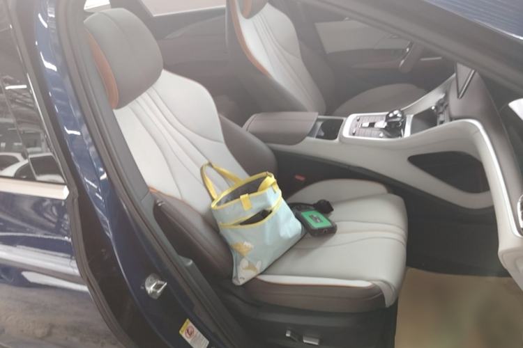 Used BYD Song Pro New Energy 2022 DM-i 110km Flagship Pro Model Right Front Seat