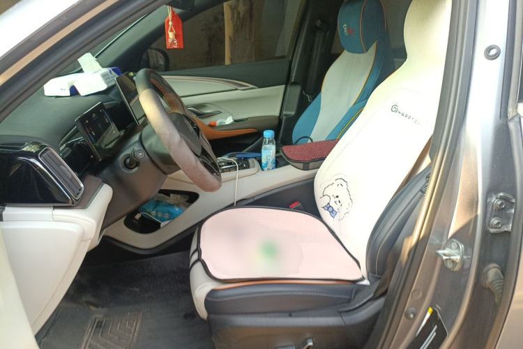 Used BYD Song Pro New Energy 2022 DM-i 51km Luxury Model Left Front Seat