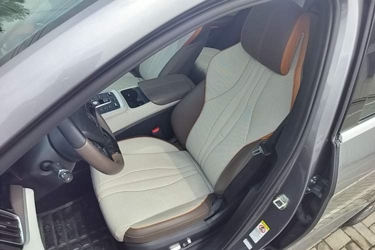 Used BYD Song Pro New Energy 2022 DM-i 110km Flagship Pro Model Left Front Seat