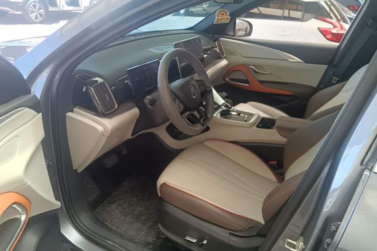 Used BYD Song Pro New Energy 2022 DM-i 51km Prestige Model Left Front Seat