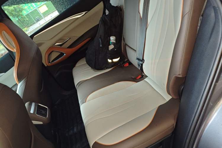 Used BYD Song Pro New Energy 2022 DM-i 51km Prestige Model Left Rear Seat