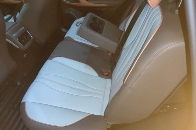 Used BYD Song Pro New Energy 2022 DM-i 51km Luxury Model Left Rear Seat