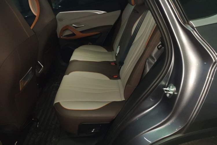 Used BYD Song Pro New Energy 2022 DM-i 51km Prestige Model Left Rear Seat