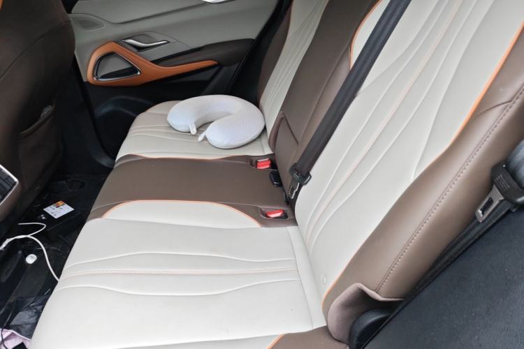 Used BYD Song Pro New Energy 2022 DM-i 51km Prestige Model Left Rear Seat