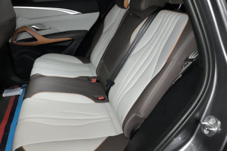 Used BYD Song Pro New Energy 2022 DM-i 51km Prestige Model Left Rear Seat