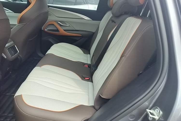 Used BYD Song Pro New Energy 2022 DM-i 110km Flagship Pro Model Left Rear Seat