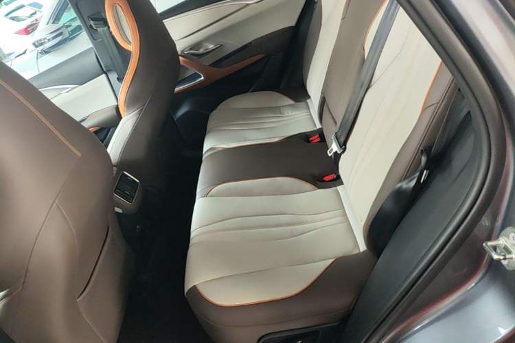 Used BYD Song Pro New Energy 2022 DM-i 51km Prestige Model Left Rear Seat