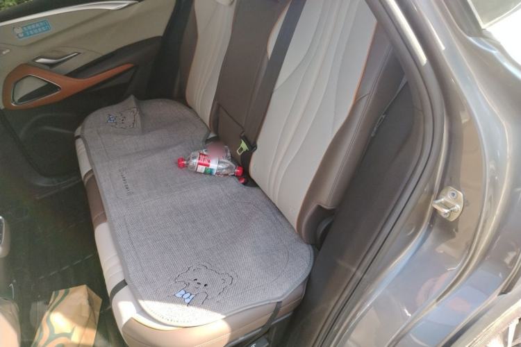 Used BYD Song Pro New Energy 2022 DM-i 110km Flagship Pro Model Left Rear Seat
