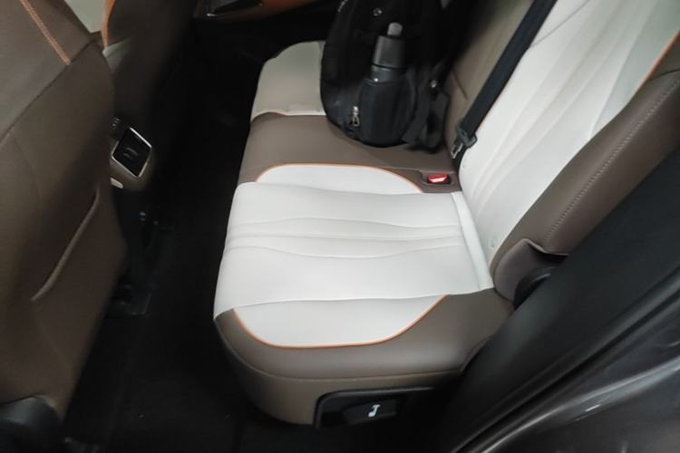Used BYD Song Pro New Energy 2022 DM-i 51km Prestige Model Left Rear Seat