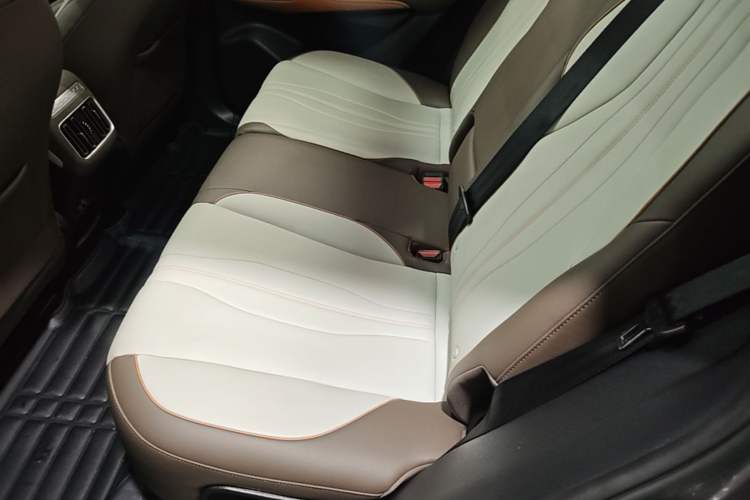 Used BYD Song Pro New Energy 2022 DM-i 51km Prestige Model Left Rear Seat
