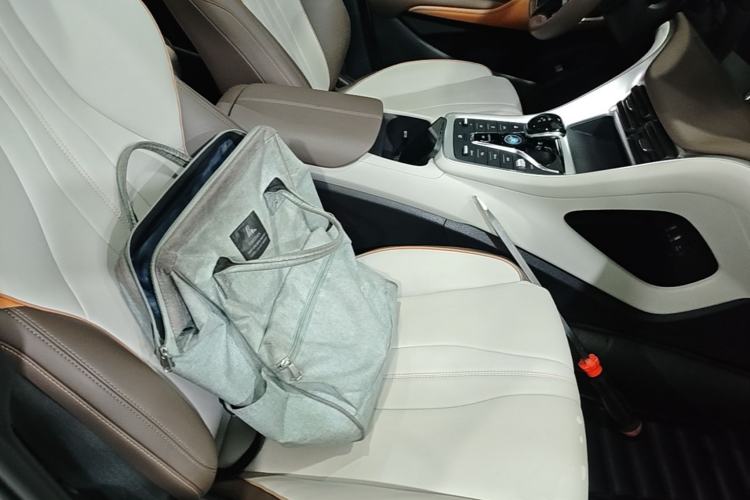 Used BYD Song Pro New Energy 2022 DM-i 51km Prestige Model Right Front Seat